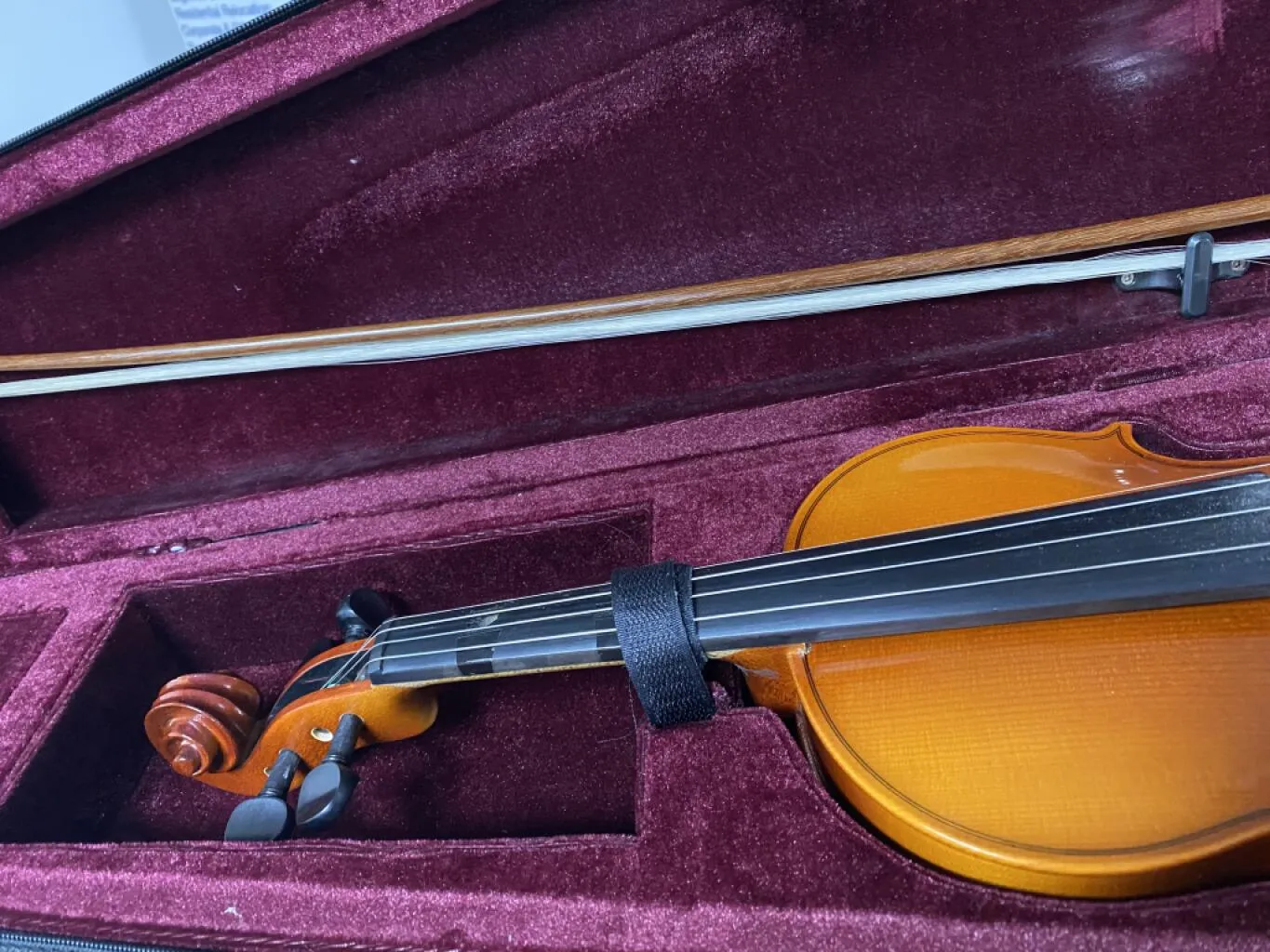 Violin 🎻